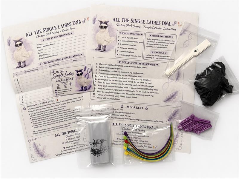 All The Single Ladies DNA collection kit with printed forms, numbered bands, lancets, gloves, collection papers, and protective packaging